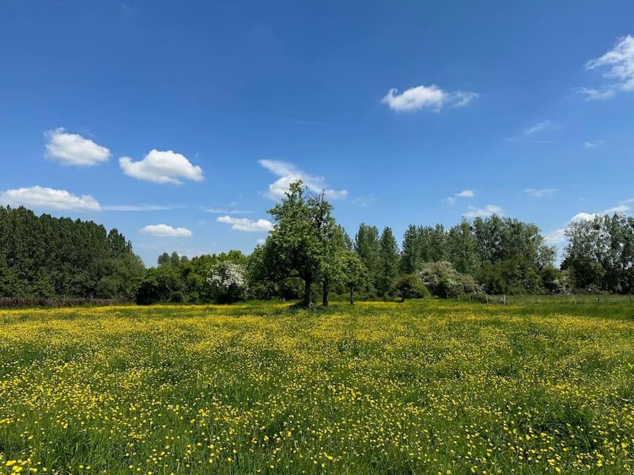 Vakantiewoning Hoogveld Kortessem Exteriör bild