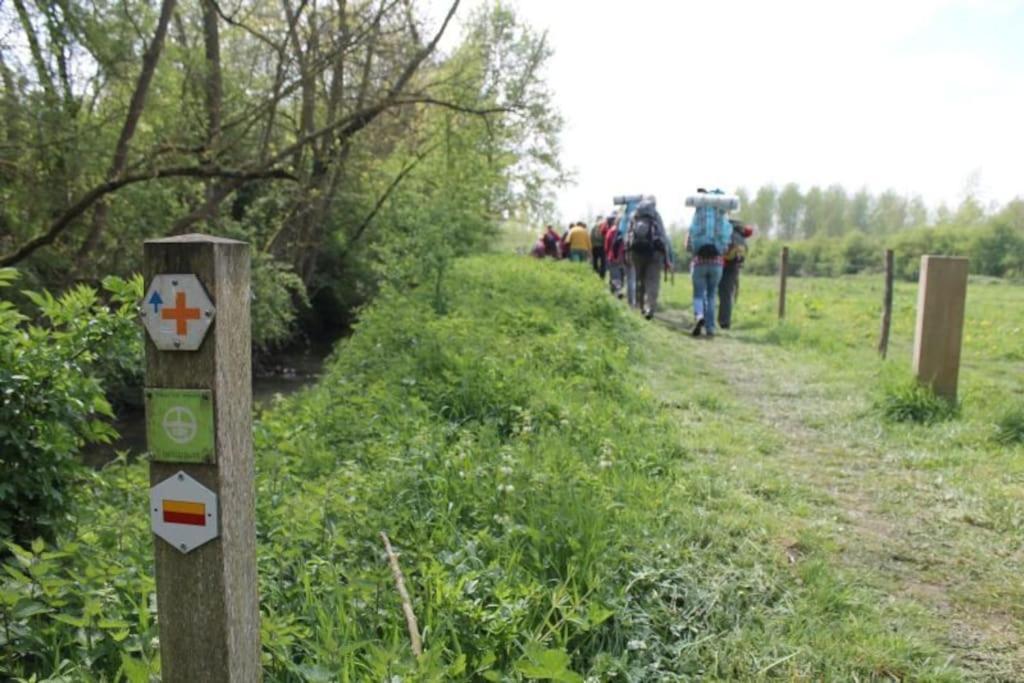 Vakantiewoning Hoogveld Kortessem Exteriör bild